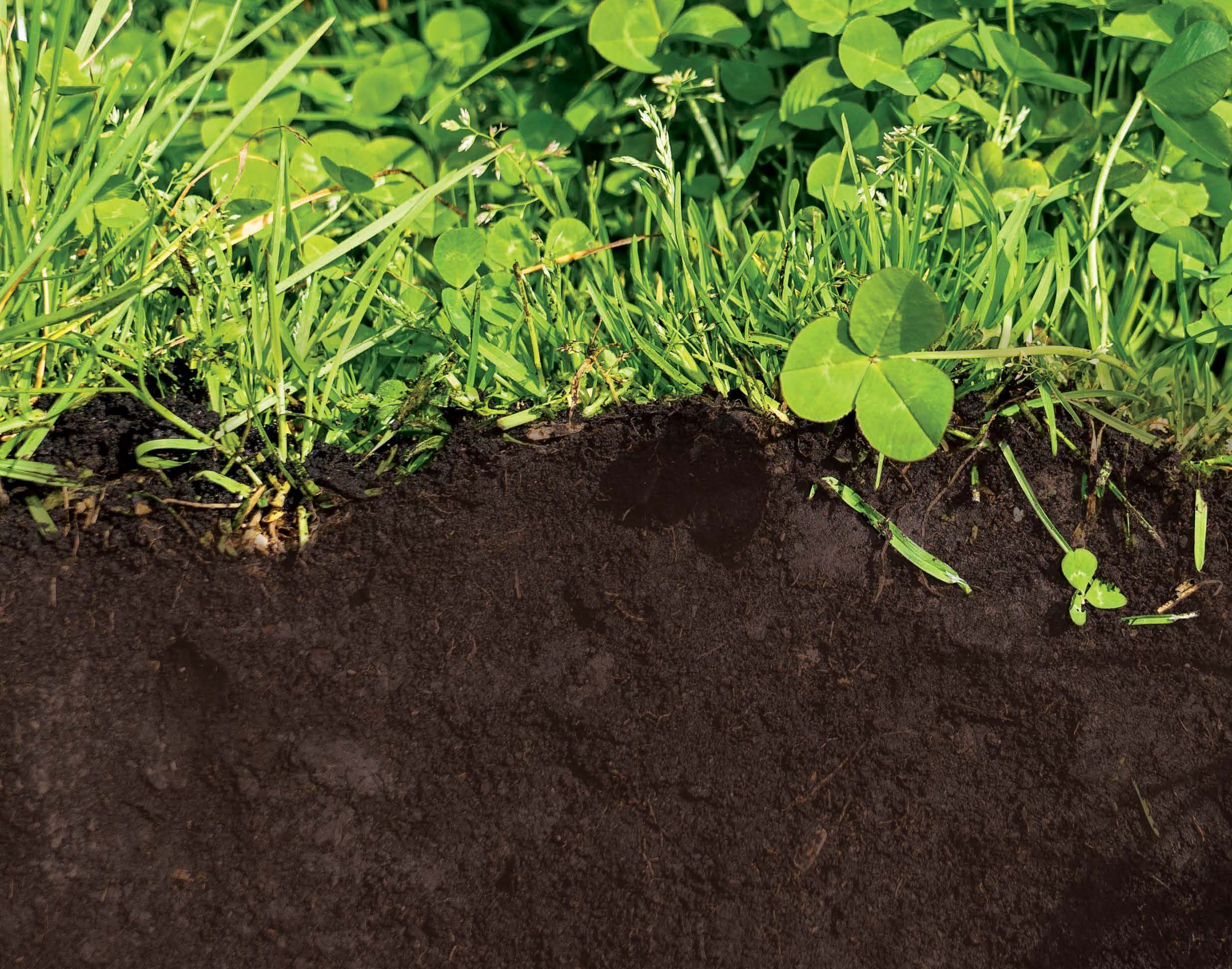 Whole farm test additional - CountryWide