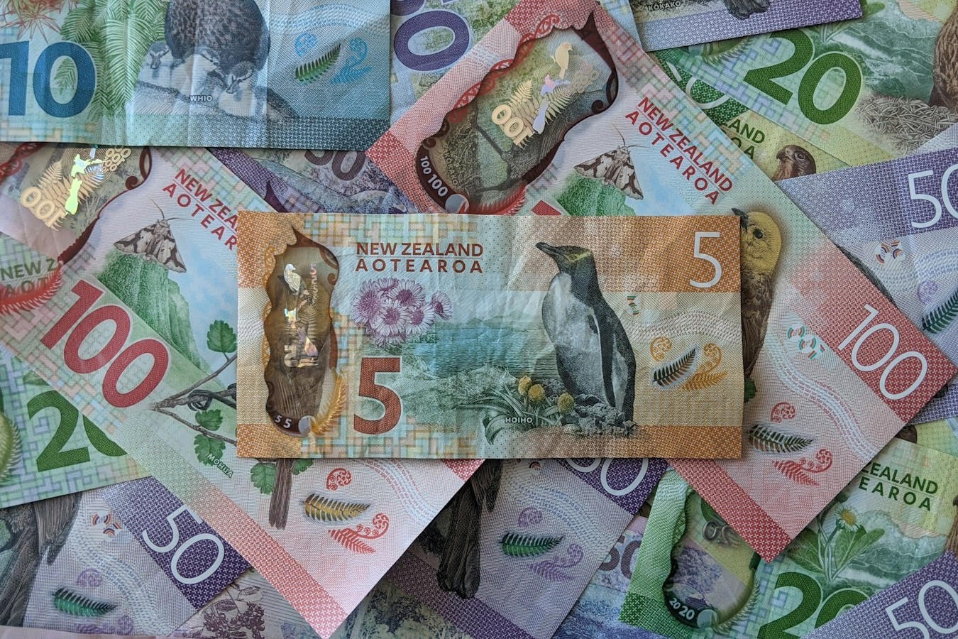 New Zealand banknotes spread on a table