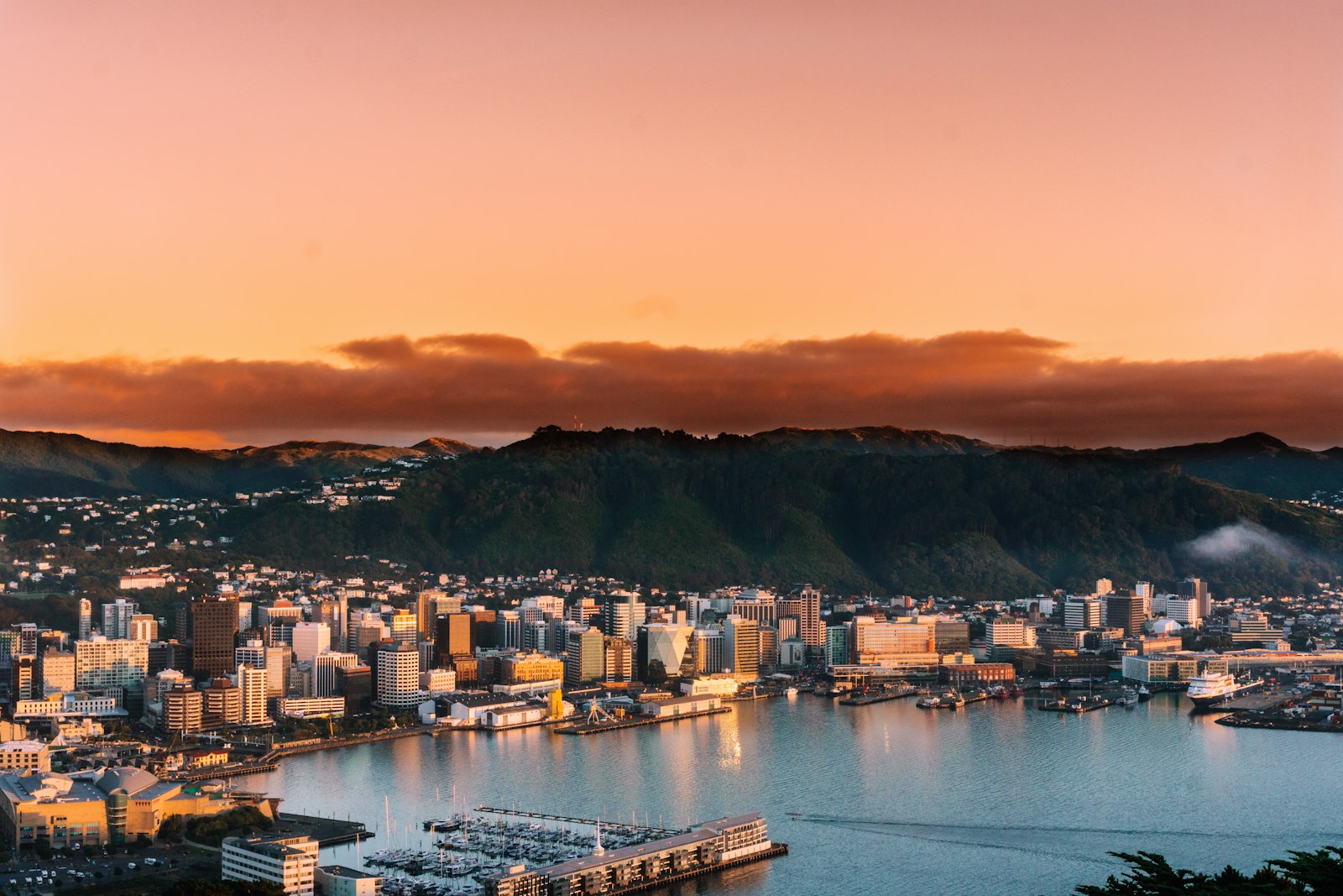 Aerial view of city buildings in Wellington at sunset