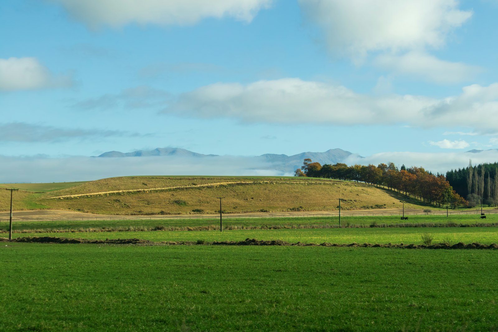 Green pasture on a rolling hill