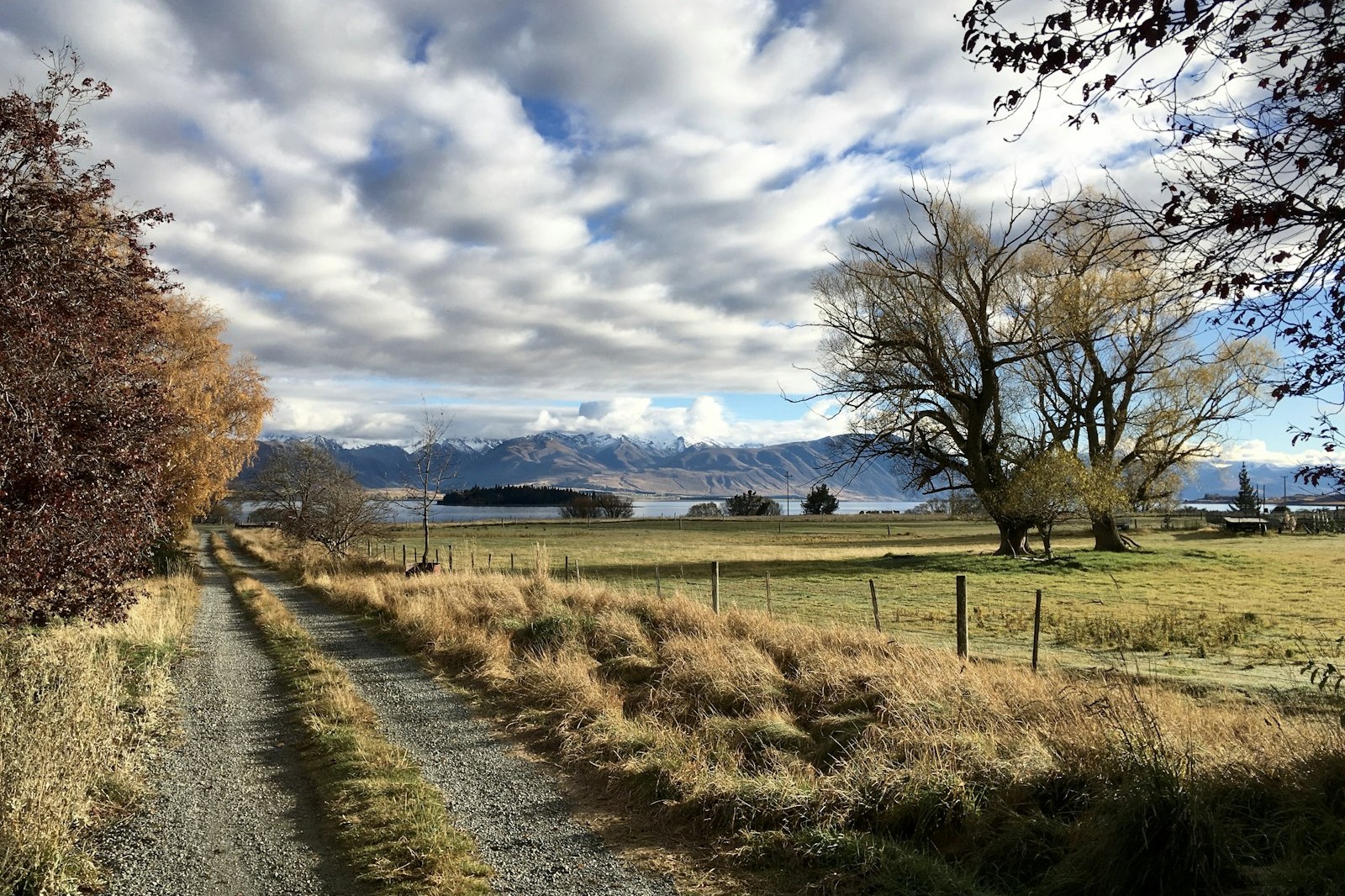 Dry brown grass beside a farm track with bare trees and mountains behind