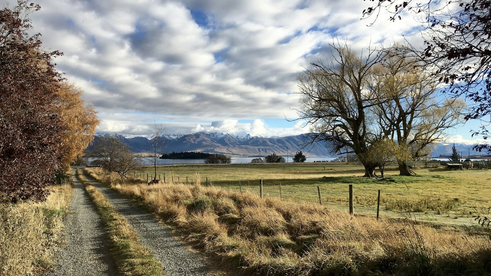 Dry brown grass beside a farm track with bare trees and mountains behind